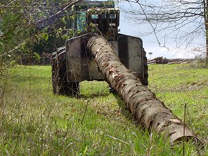 TimberJack 460 à câbles