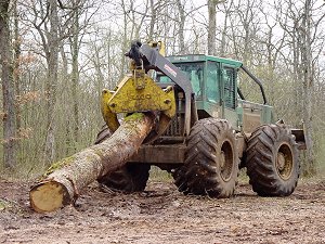 TimberJack 360 Grapple